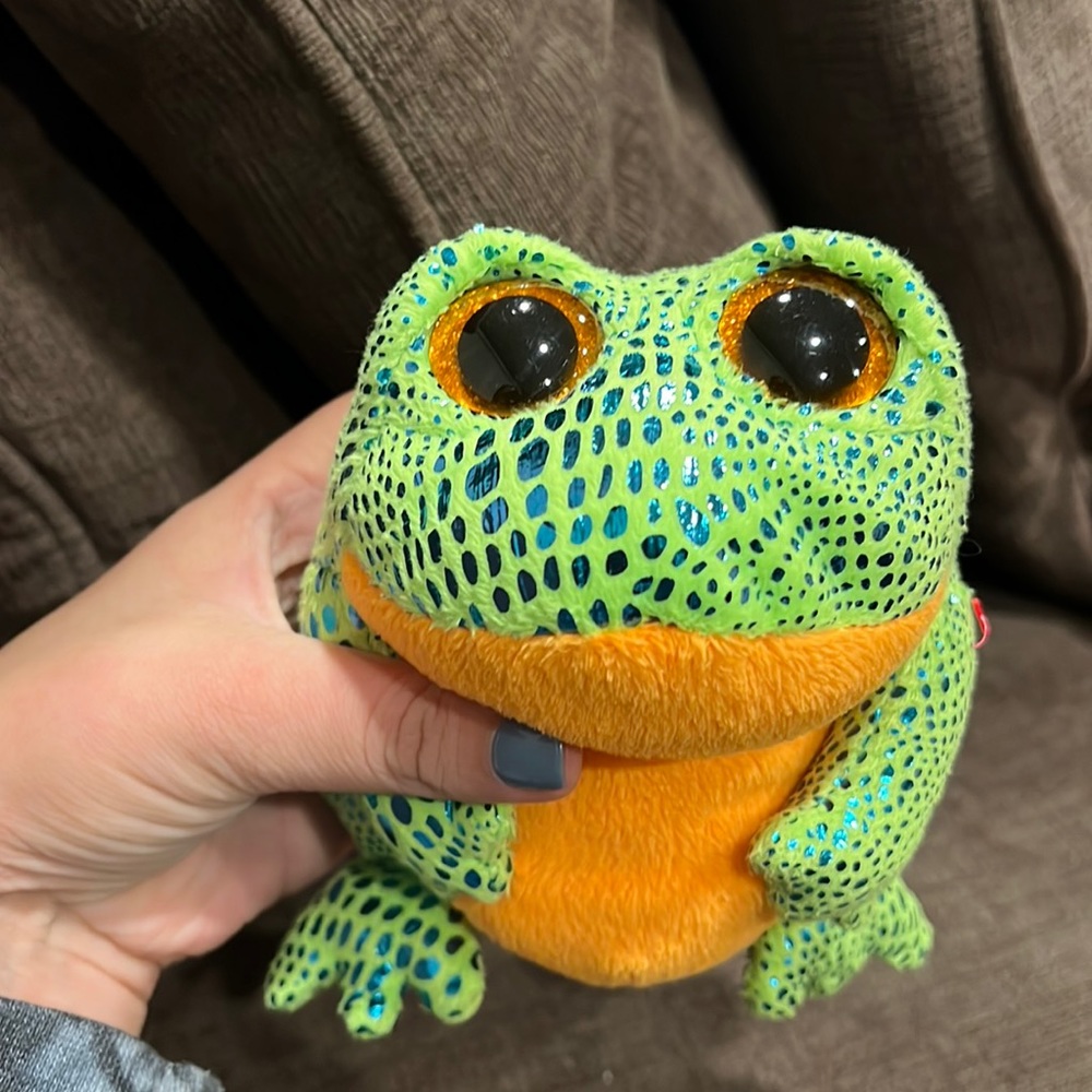 Beanie Boo Frog